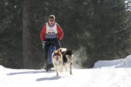 San Bernardino 2008